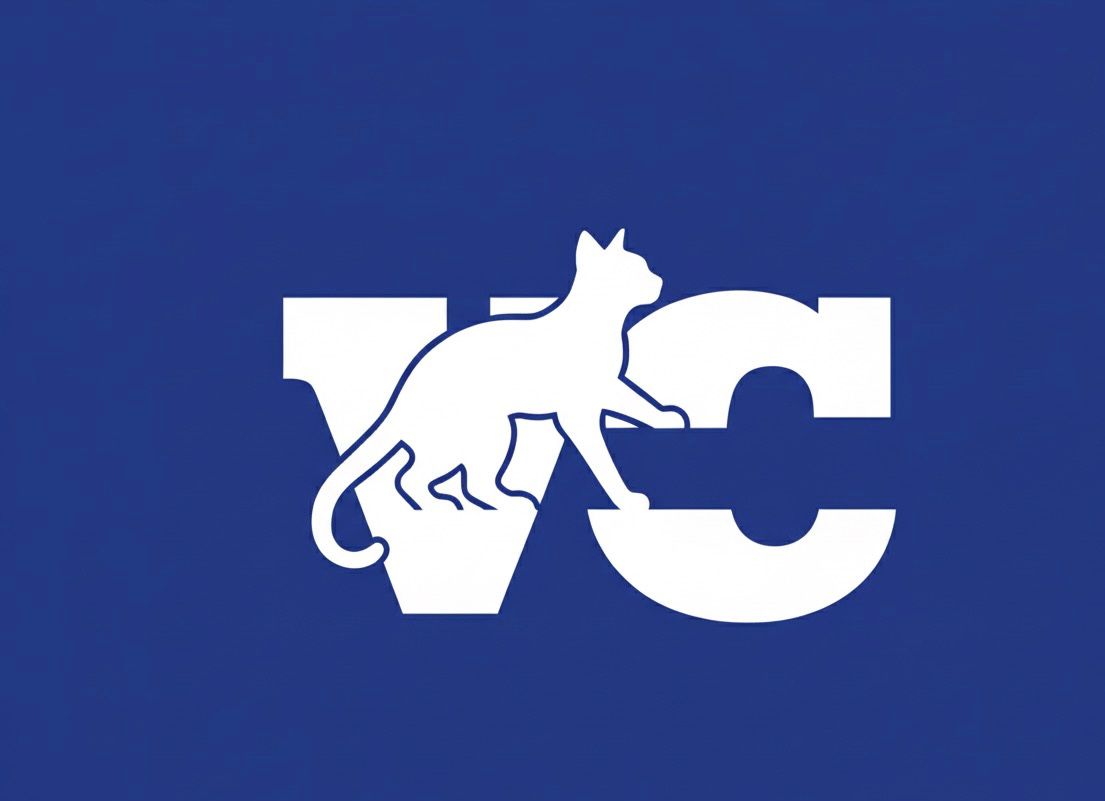 VoIP Cat Logo